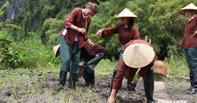 Gìn giữ ký ức Trung thu qua những con giống bột truyền thống