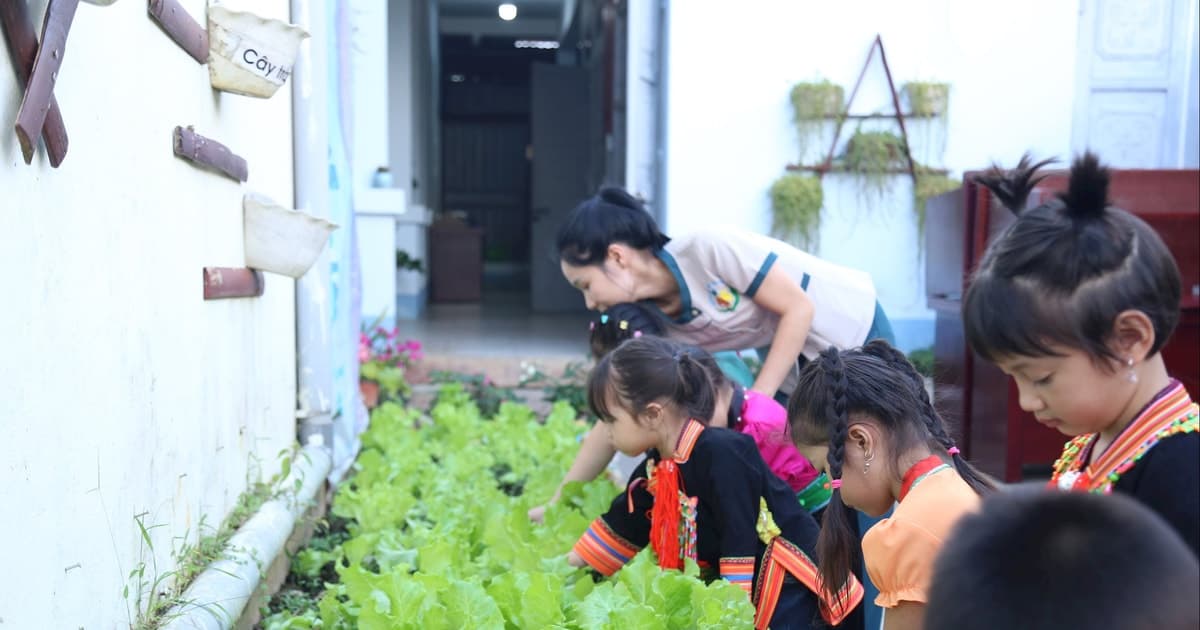 Thu nhập giáo viên trở nên lạc hậu so với giá trị công việc và mức sống tối thiểu