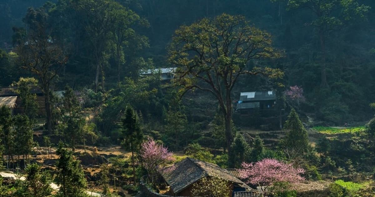 Cao nguyên đá Đồng Văn là ‘Điểm đến văn hóa hàng đầu thế giới’