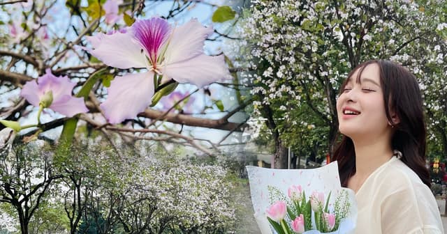 'Góc Tây Bắc' giữa lòng Hà Nội khiến du khách thích thú check-in