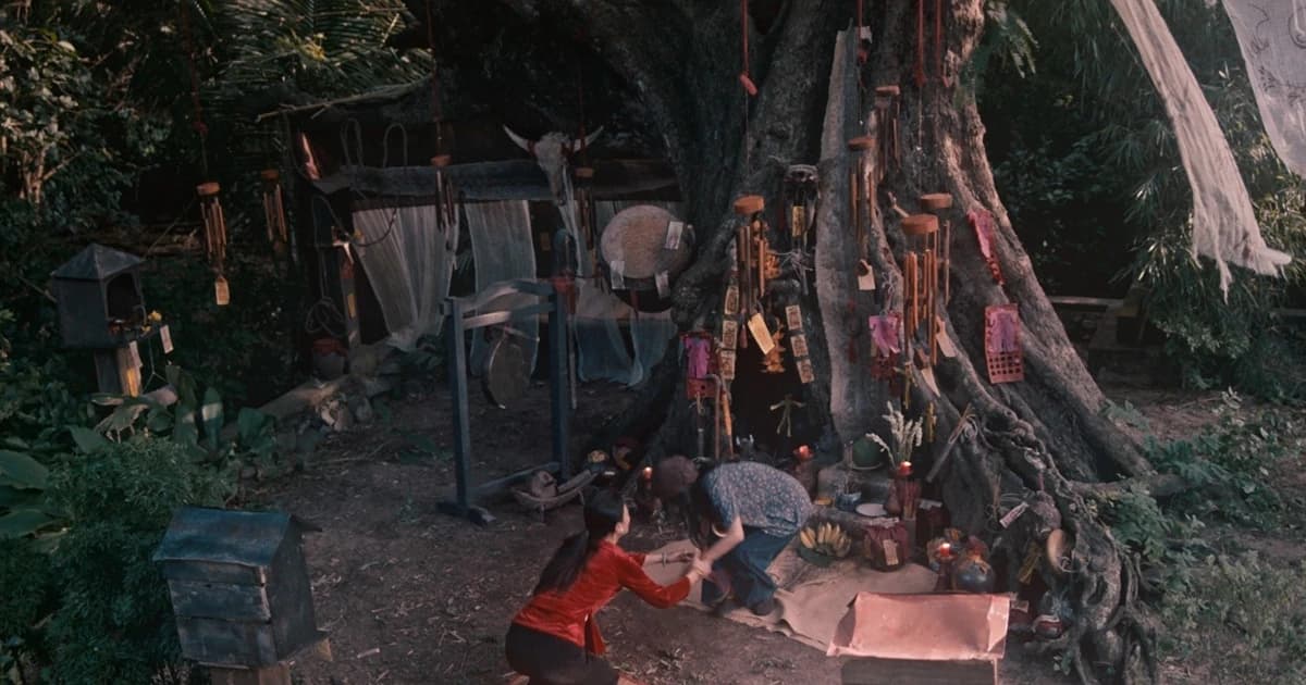 ‘Thỏ Ơi!’ giảm nhiệt, ‘Quỷ nhập tràng 2’ làm nóng phòng vé