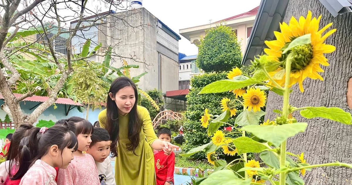 Hải Phòng lưu ý trong tuyển sinh đầu cấp Tiểu học và THCS