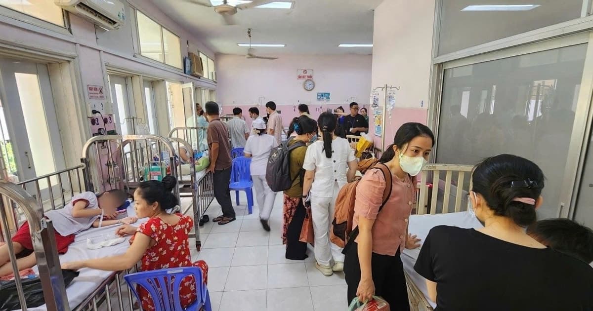 Số học sinh ngộ độc tại TP HCM tăng lên 184, xác định có vi khuẩn Salmonella