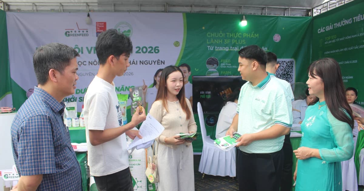Cầu nối đưa sinh viên đến gần thị trường lao động