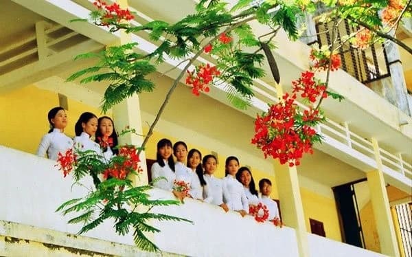 Tản mạn: Mùa phượng vĩ đã xa