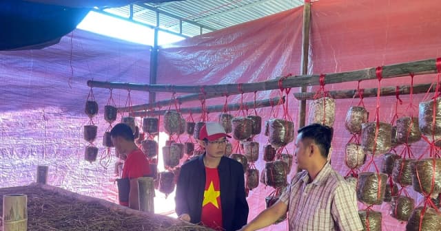 Khi lớp nghề bén rễ từ nhu cầu sinh kế