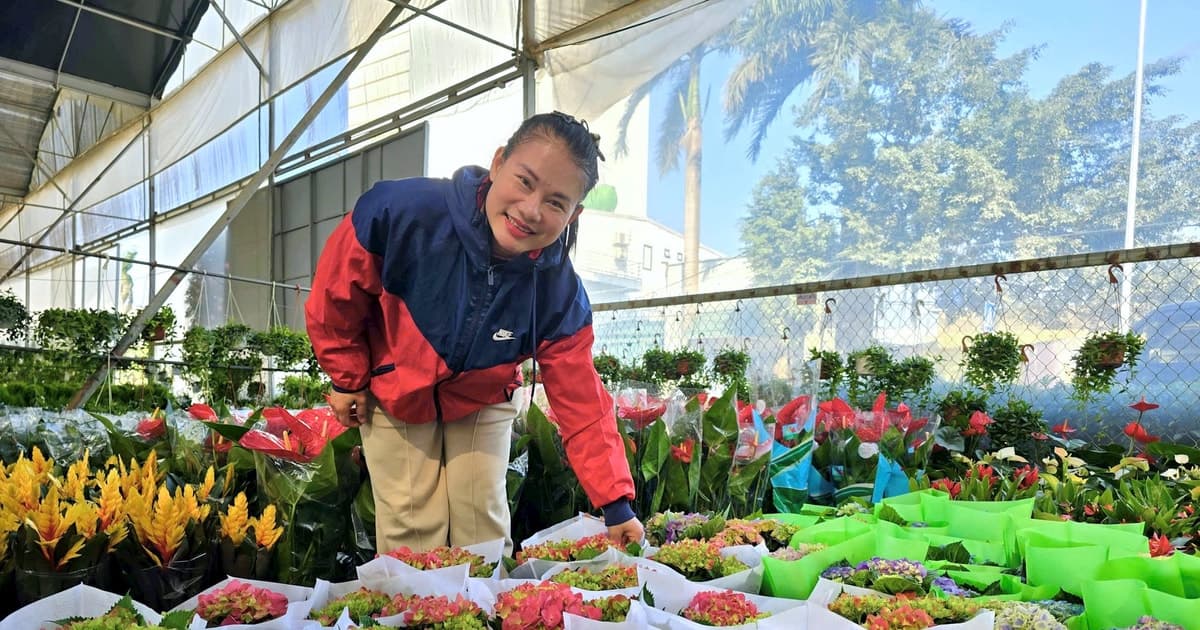 Làng hoa Xuân Quan nhộn nhịp trước thềm Tết Nguyên đán 2026