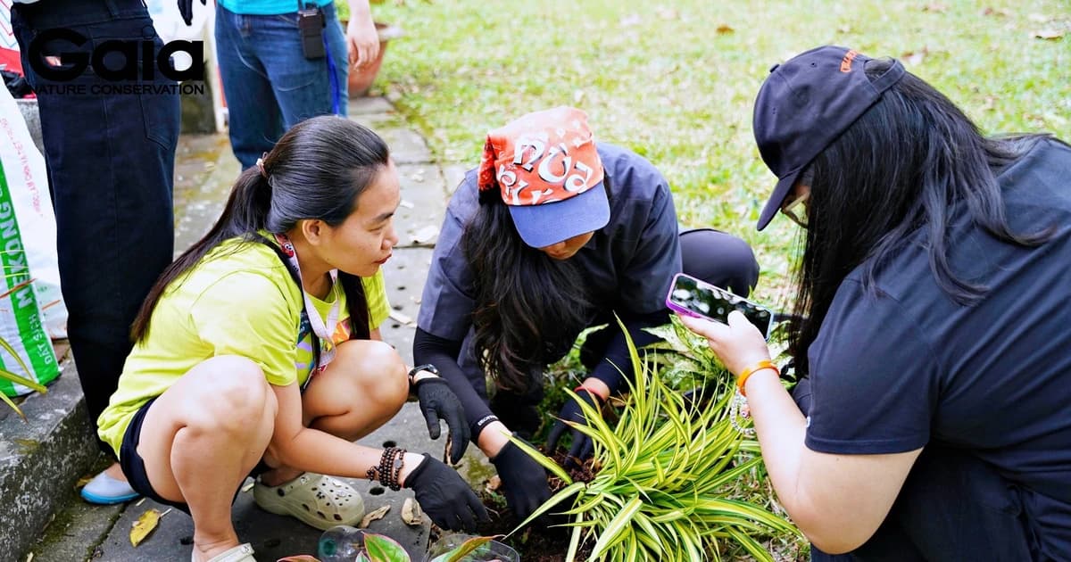 Hàng trăm cây xanh được tặng miễn phí cho người dân TPHCM dịp “Tết trồng cây”