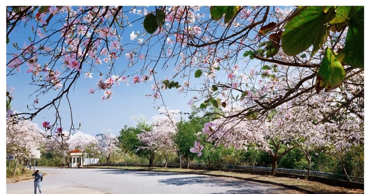 Phát động cuộc thi video/clip 'Ấn tượng Điện Biên'