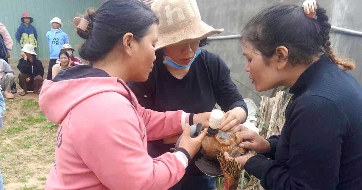 Gỡ khó đào tạo nghề ở vùng đồng bào dân tộc thiểu số