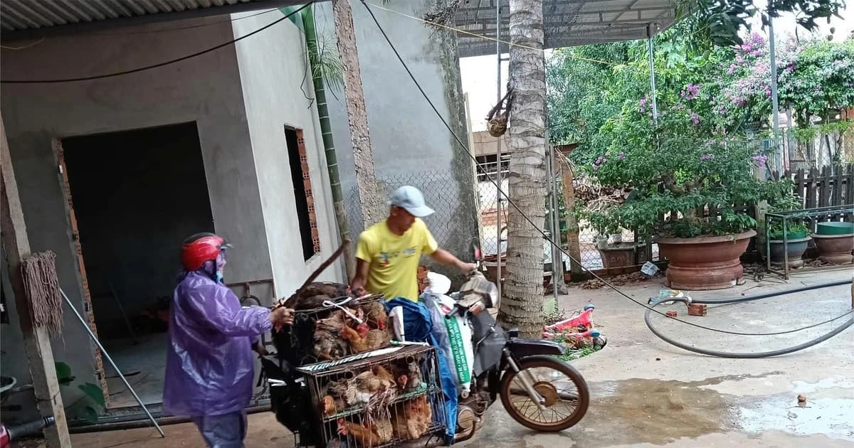 UBND huyện ở Đắk Lắk phản hồi thông tin việc chậm tuyển dụng đặc cách giáo viên