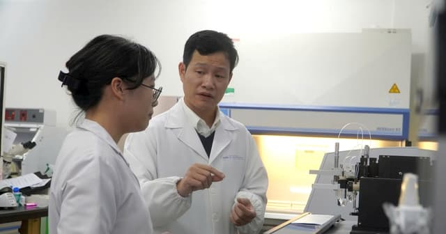 Đà Nẵng mở lại các tuyến tham quan tại bán đảo Sơn Trà