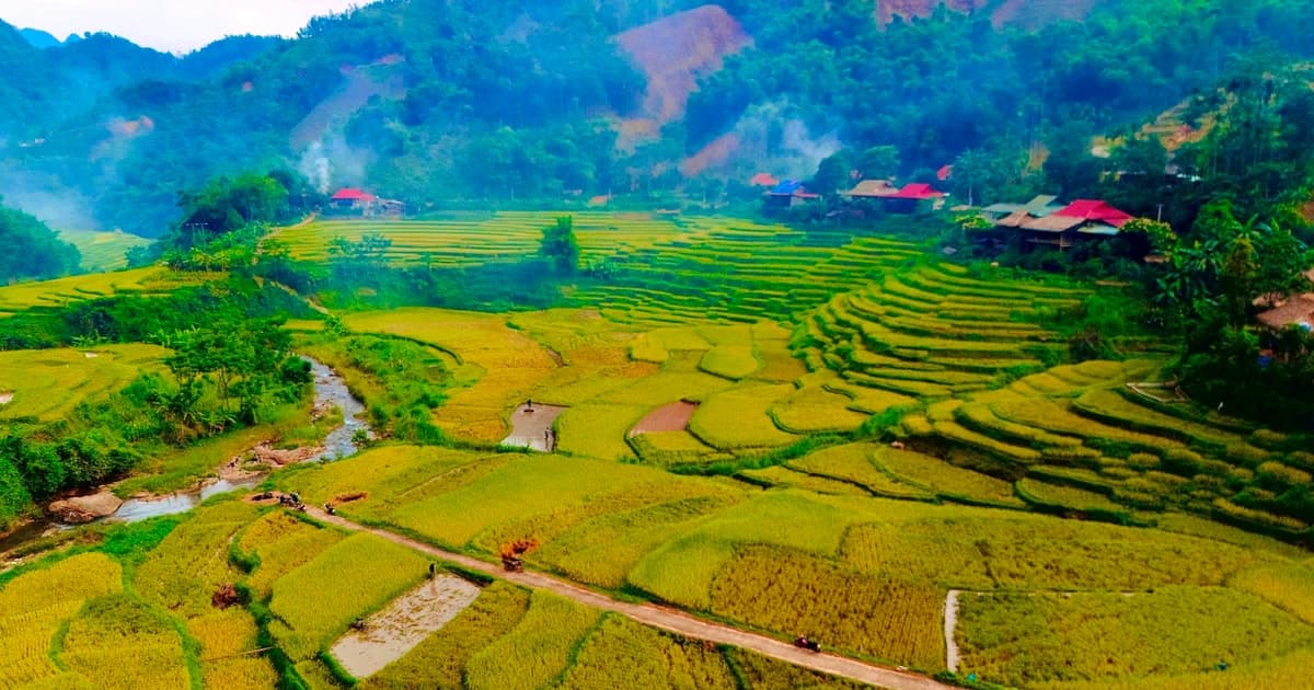 Ngắm những cánh đồng lúa chín vàng ở Pù Luông, Thanh Hóa