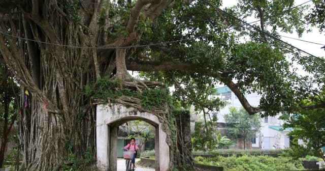 Cổng làng và ký ức văn hóa người Hà thành: Nơi thời gian dừng lại!