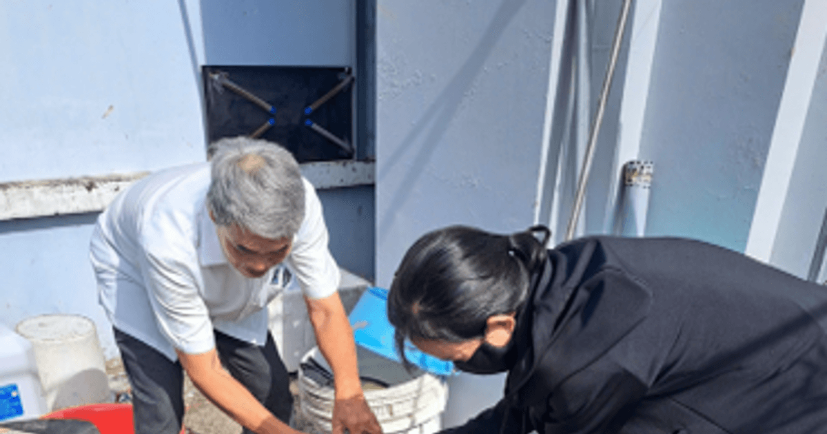 6 ca tử vong do sốt xuất huyết tại TP HCM