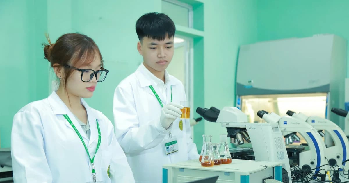 Gỡ điểm nghẽn mô hình đại học hai cấp
