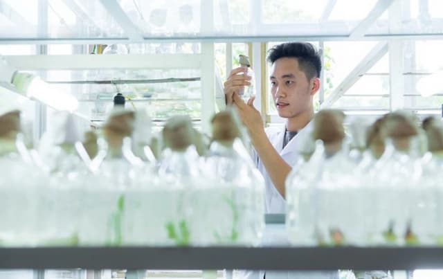Bổ sung nội dung bảo vệ môi trường vào chương trình đào tạo đại học chính quy