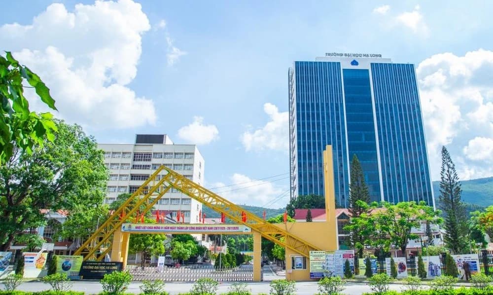 Sinh viên Trường Đại học Hạ Long có việc làm khi chưa nhận bằng tốt nghiệp