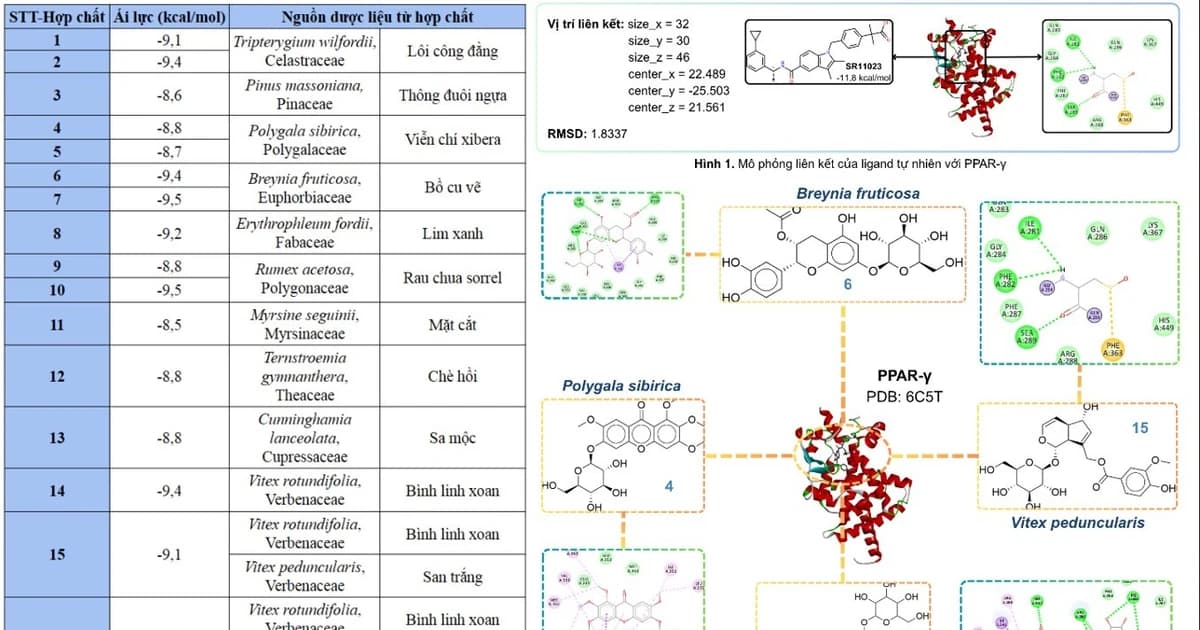 13 dược liệu điều trị bệnh đái tháo đường
