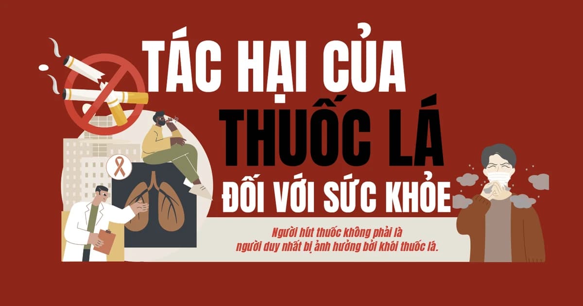 Infographic: Tác hại của thuốc lá đối với sức khỏe