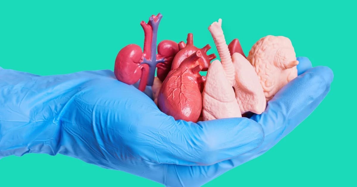 Giấc mơ trường sinh nhờ thay tạng