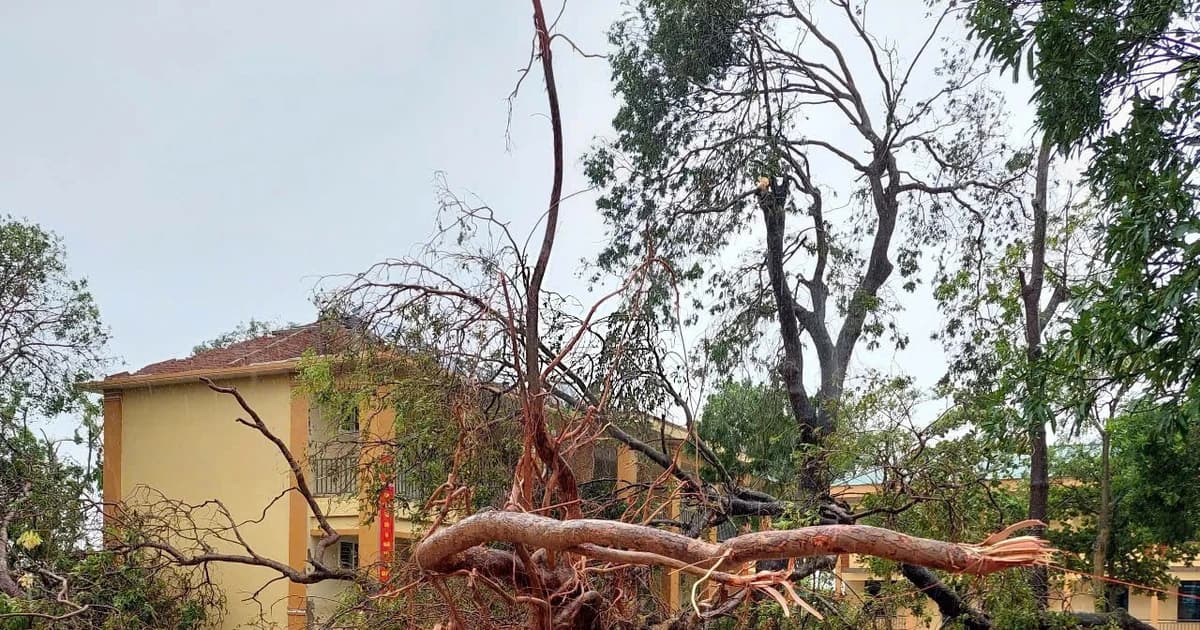 Hàng loạt trường học Nghệ An thiệt hại kép sau bão Bualoi