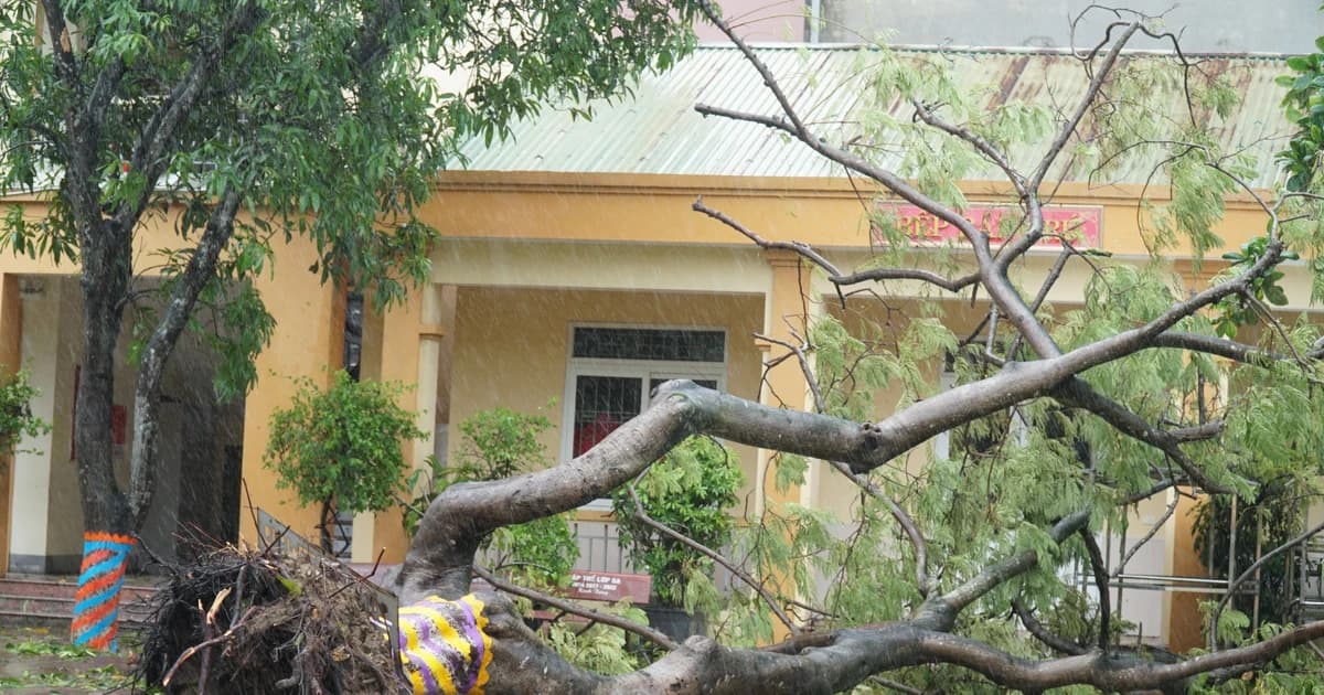 Trường học Nghệ An tiếp tục nghỉ, tập trung khắc phục hậu quả mưa bão