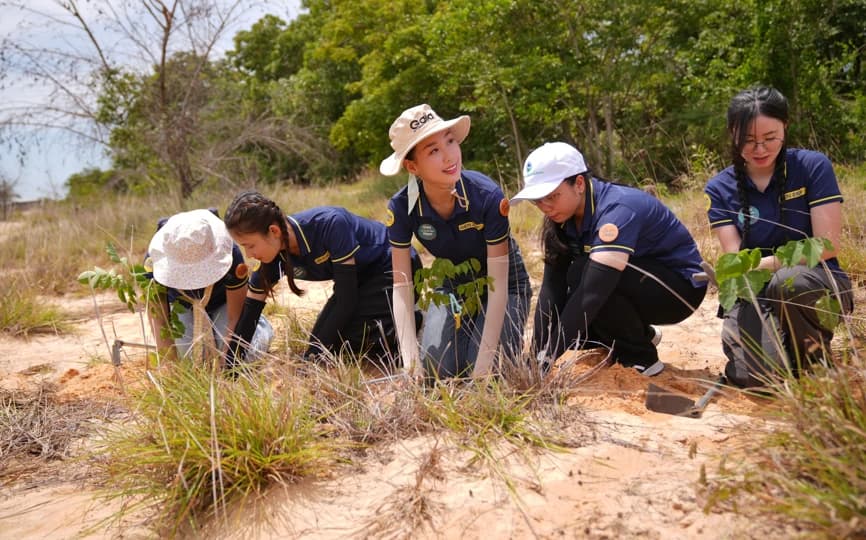 Chung sức trồng 30.000 cây gỗ lớn ứng phó biến đổi khí hậu