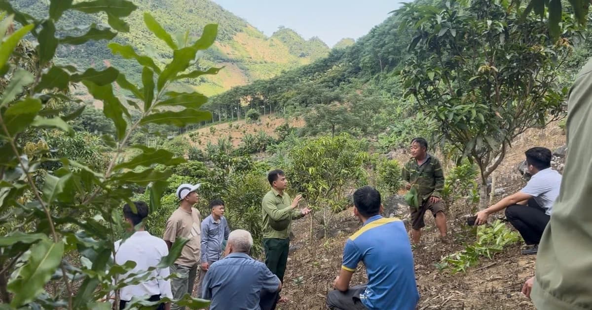 Quyết tâm xóa mù chữ, nâng cao dân trí ở Pú Nhung