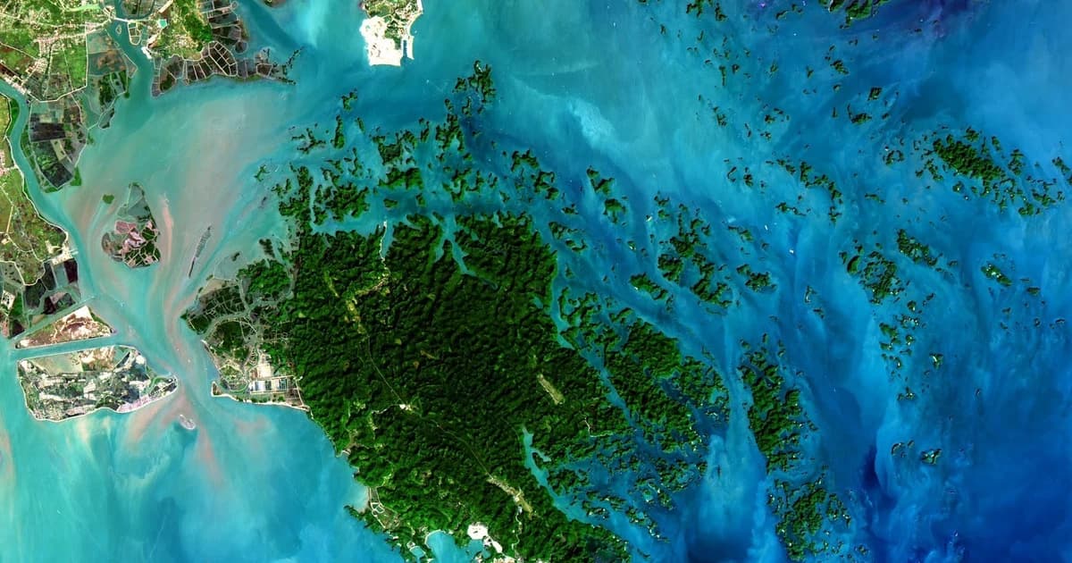 Giải mã đại dương bằng trí tuệ nhân tạo