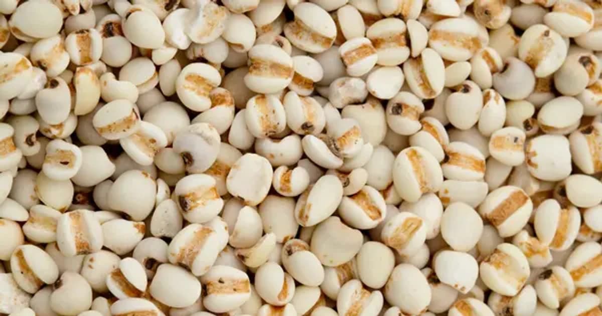 Bộ Y tế thu hồi lô dược liệu ý dĩ hỗ trợ điều trị ung thư không đạt chất lượng