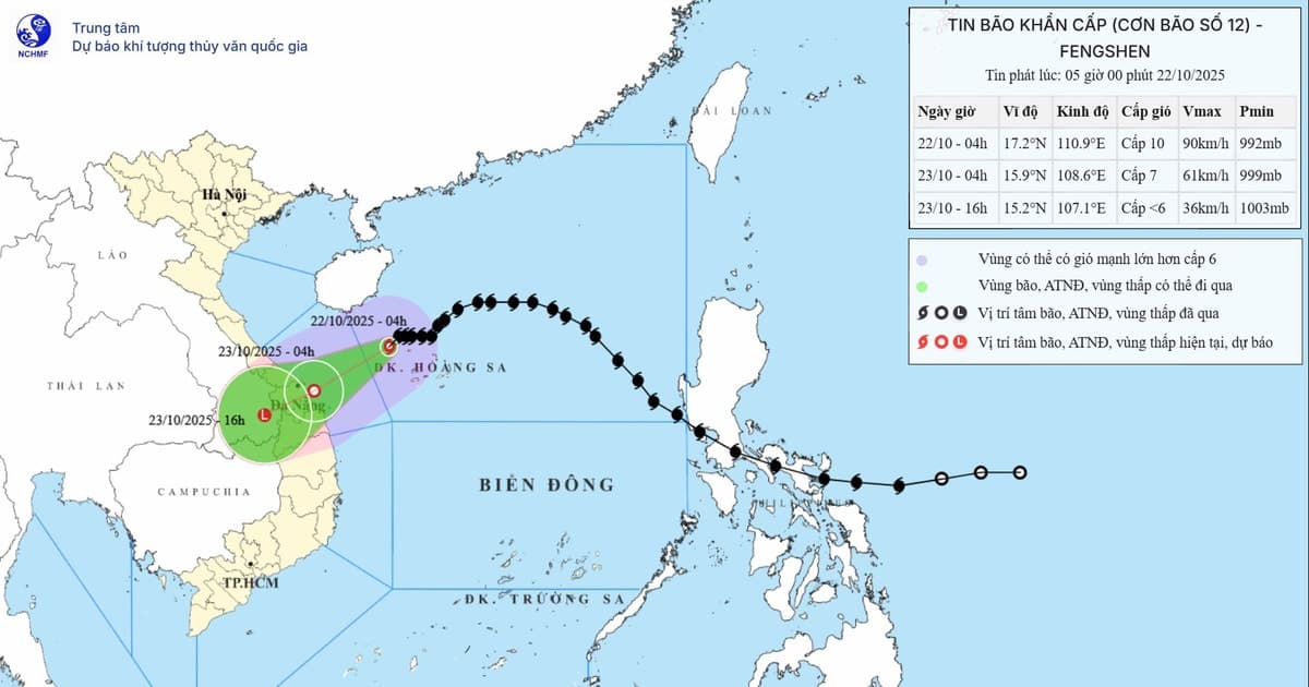 Học sinh ở Đà Nẵng được nghỉ học từ ngày 22/10 để tránh bão Fengshen