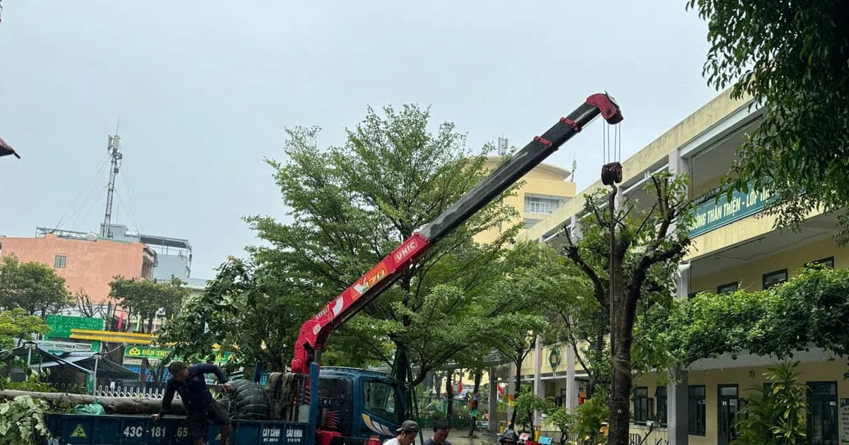 Ứng phó bão Fengshen, Đà Nẵng yêu cầu trường nội trú, bán trú không để học sinh tự ý về nhà