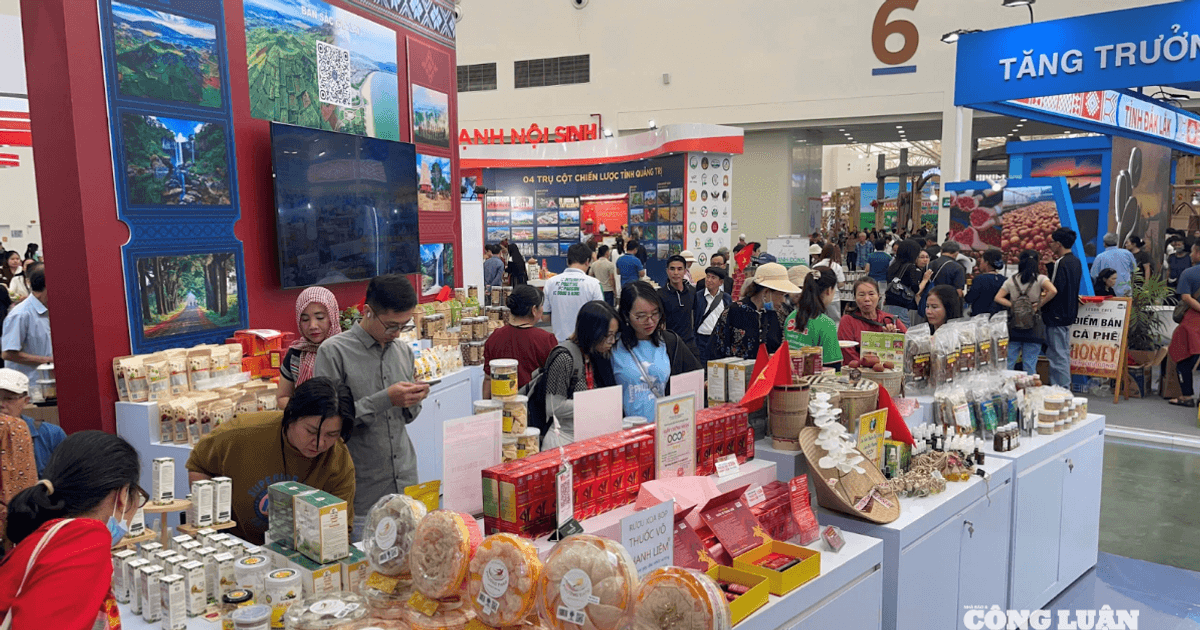 Khám phá 'Gia Lai thu nhỏ' tại Hội chợ Mùa thu 2025