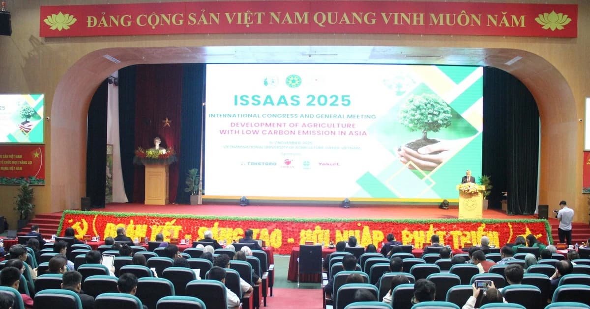 Nghị định 73 và nghịch lý tiền thưởng: Giáo viên hợp đồng 10 năm trắng tay, có trường tự 'xẻ' 10% để chia