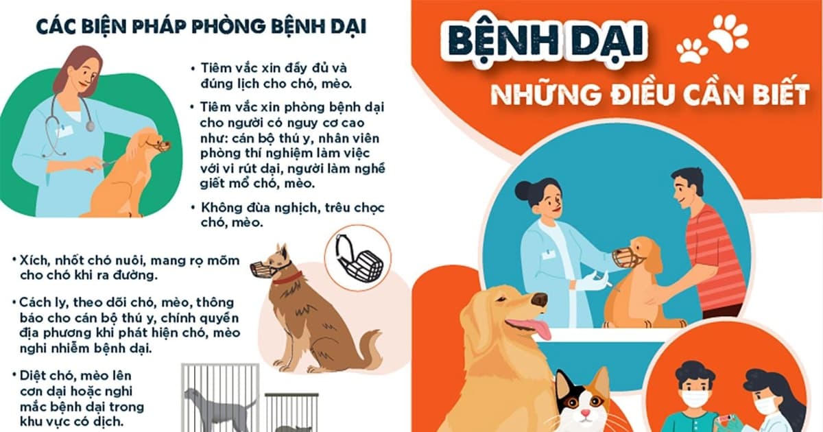 Bộ Y tế cảnh báo nguy cơ, kêu gọi các địa phương đẩy mạnh tiêm phòng và quản lý đàn chó mèo