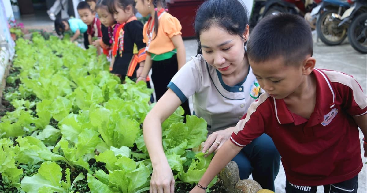 Bộ Giáo dục và Đào tạo yêu cầu dừng sáp nhập trường học vượt quy mô cho phép