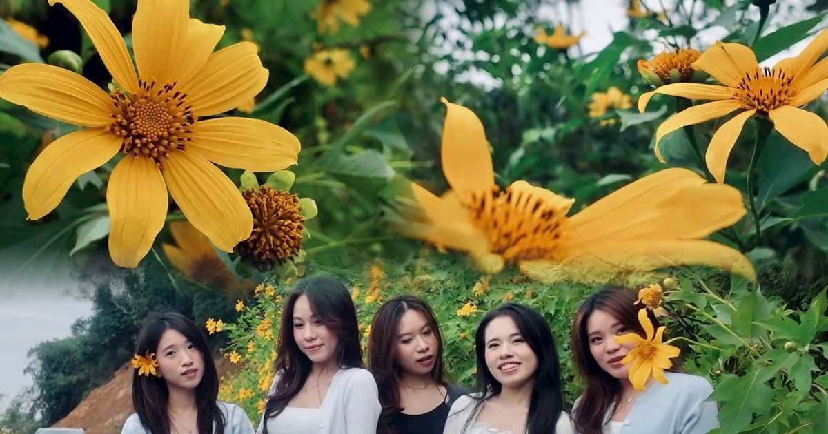 Sắc vàng hoa dã quỳ phủ kín Ba Vì, du khách đổ về check-in