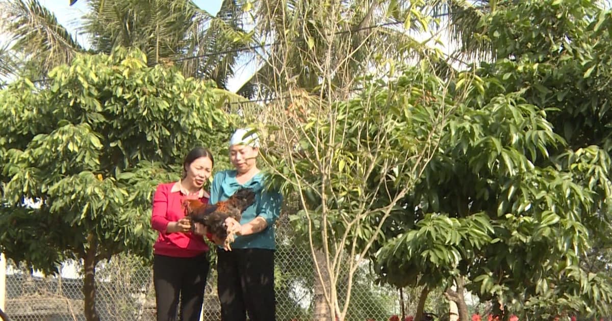 Phụ nữ Hưng Yên phát huy nội lực, làm giàu chính đáng