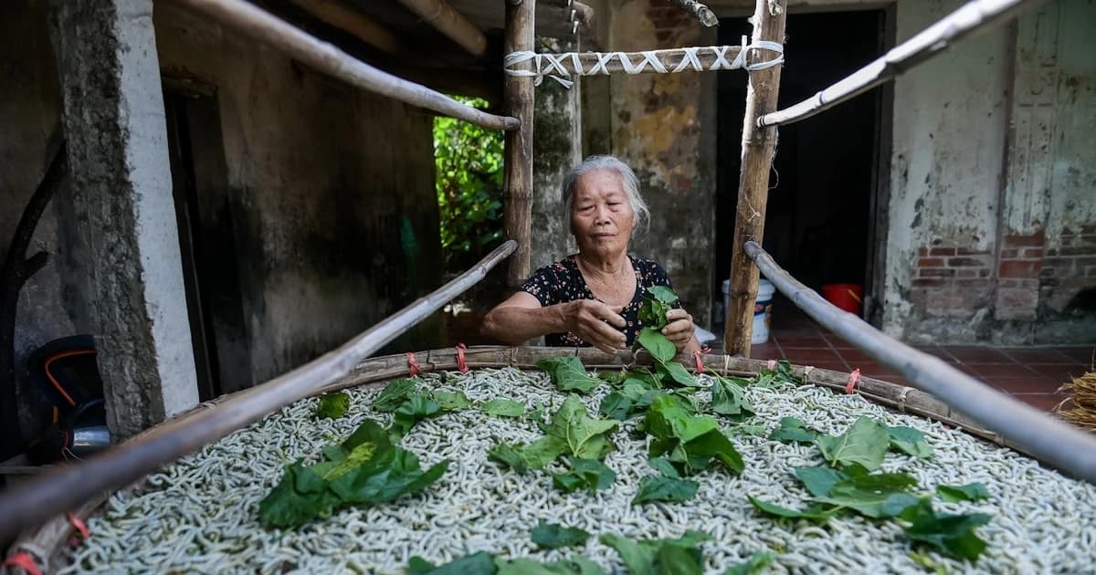 Gìn giữ tinh hoa tơ tằm Cổ Chất