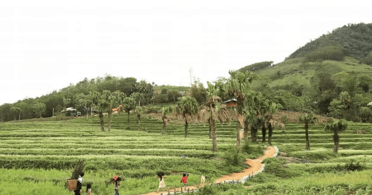 Đề xuất điều chỉnh hơn 33 tỷ đồng vốn và kéo dài 3 dự án văn hóa sang năm 2026