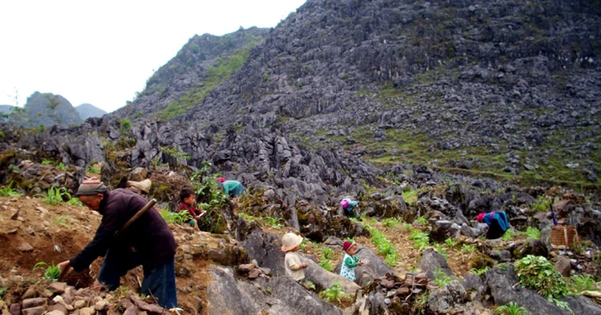 Công viên địa chất Cao nguyên đá Đồng Văn giành giải thưởng du lịch thế giới