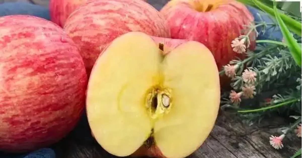 Không muốn bệnh phổi 'gõ cửa', hãy ăn 4 loại trái cây này