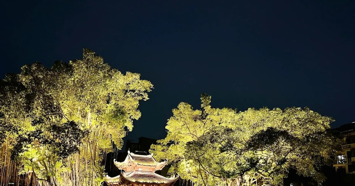 Thanh Lam góp mặt trong đêm 'Chào 2026' tại Văn Miếu Quốc Tử Giám