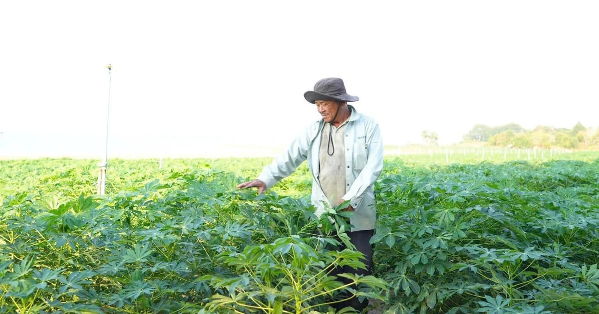 Cử nhân nông nghiệp 4.0: Khi 'tấm bằng đỏ' không ngại chân lấm tay bùn