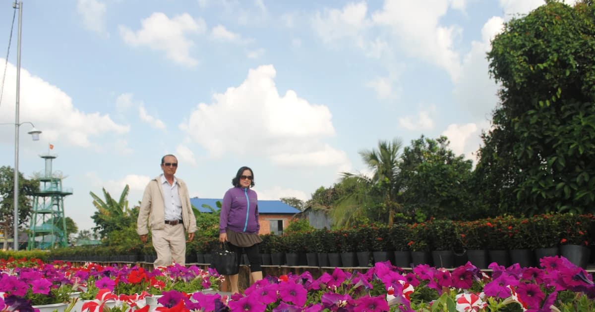 Khai mạc Festival Hoa - Kiểng Sa Đéc lần thứ II