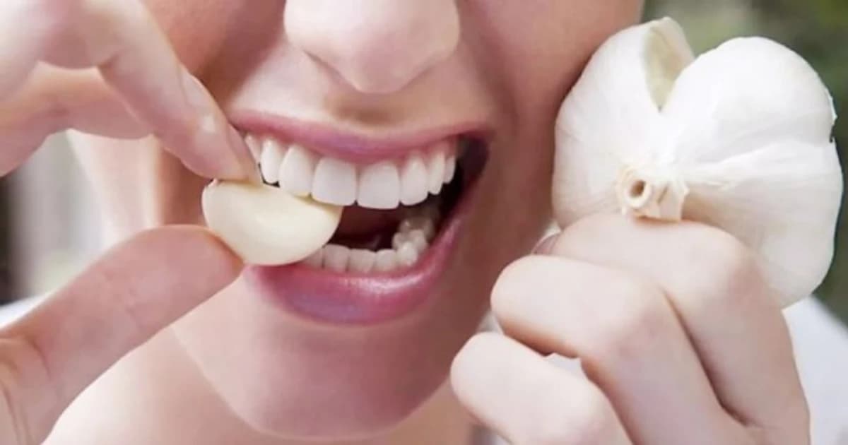 Thường xuyên ăn tỏi sống: Lợi hay hại sức khỏe?