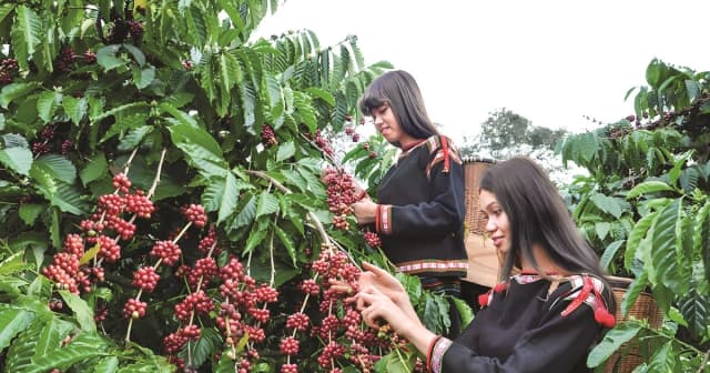 Không ‘địa phương hóa’ di sản khi xây dựng hồ sơ UNESCO