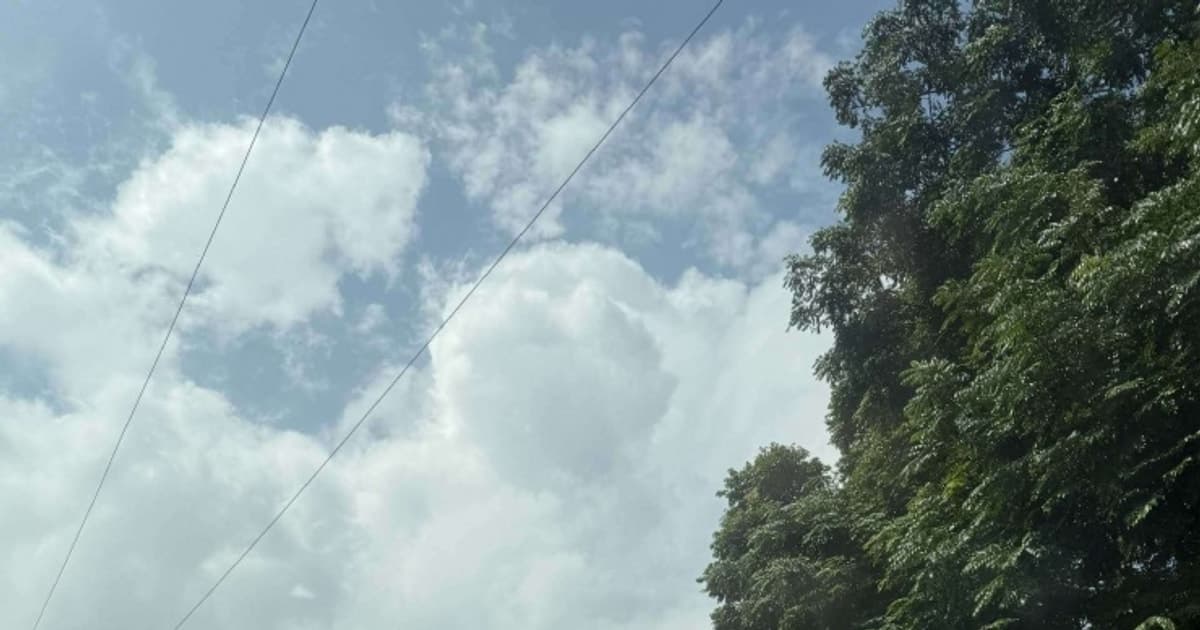 Hà Nội: 7 tọa độ thiên nhiên xanh mát cho kỳ nghỉ Tết Dương lịch 2026 không nên bỏ lỡ