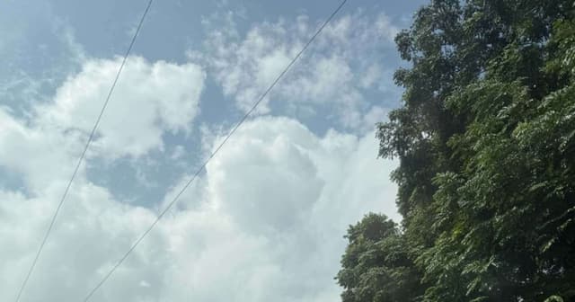 Hà Nội: 7 tọa độ thiên nhiên xanh mát cho kỳ nghỉ Tết Dương lịch 2026 không nên bỏ lỡ